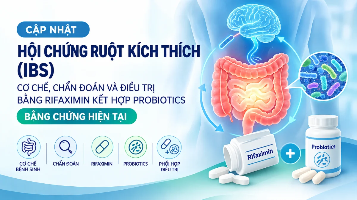CẬP NHẬT HỘI CHỨNG RUỘT KÍCH THÍCH: CƠ CHẾ, CHẨN ĐOÁN VÀ VAI TRÒ CỦA RIFAXIMIN, PROBIOTICS